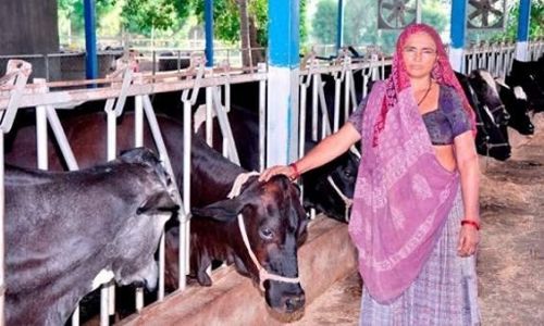 Success Stories of Rural Female Entrepreneurs in India