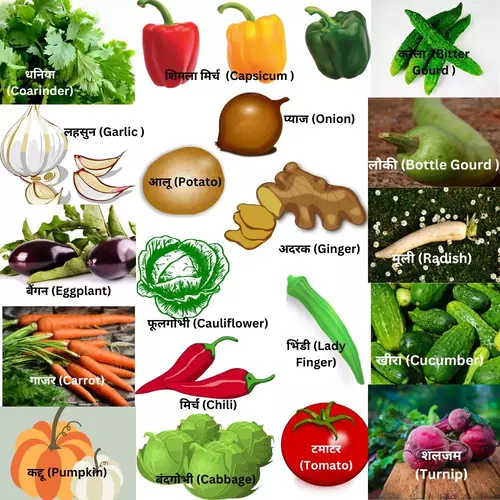 vegetables names in hindi to english